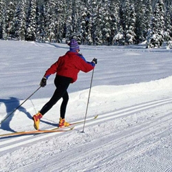 Сотрудники Смоленскэнерго получили медали в лыжном спорте