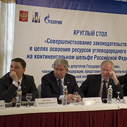 Депутаты Госдумы обсудили пробелы в области нефтегазодобычи