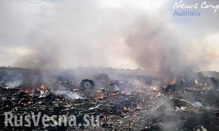 Обнародовано видео, снятое ополченцами сразу после падения Boeing-777 на Донбассе (ФОТО+ВИДЕО)
