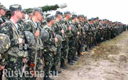 «В каждом уезде — по банде»: Парубий предлагает создать на Украине параллельную армию