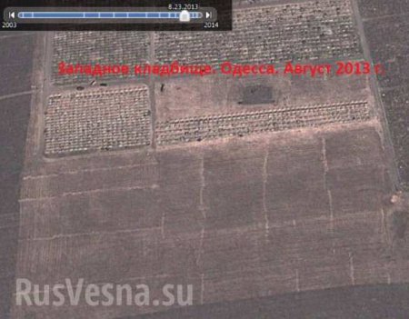 Google Earth рассказал о реальных потерях украинских войск на Донбассе (ФОТО)
