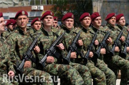 Сербия может послать армию на границу с Венгрией