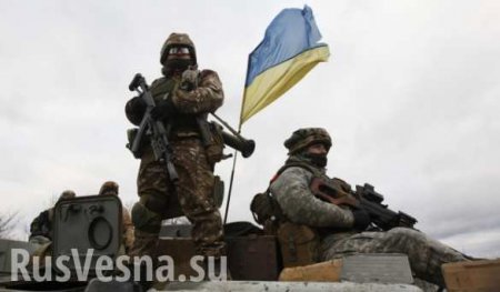 Киев создает профессиональную армию для решения территориальных споров