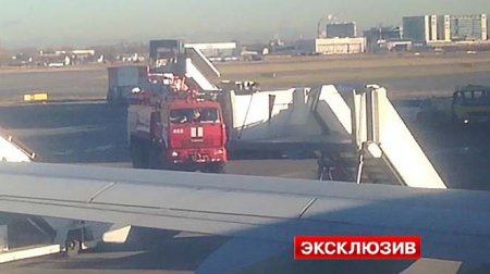 Из самолета «Когалымавиа» в Пулково эвакуируют пассажиров