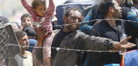 США: семь штатов отказались принимать сирийских беженцев