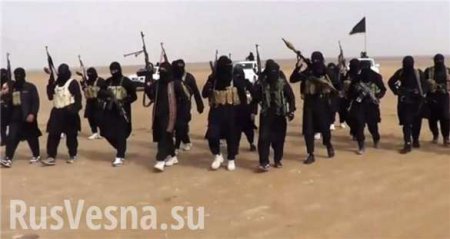 ИГИЛ продолжает штурмовать Дейр эз-Зор: САА отбивает атаки при поддержке ВКС России