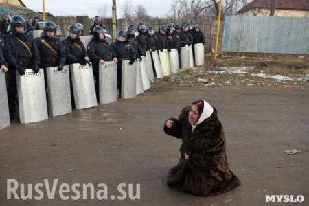 Житель Плеханово, где цыгане устроили бунт: Они гадят прямо на дорогах, это ужас!