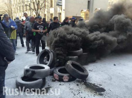 «Революция достоинства»: чего же адепты Майдана оказались достойны на самом деле?