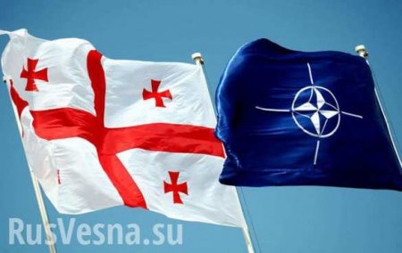 «Освоение» военными НАТО территории Грузии — провокация, — МИД РФ