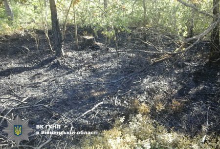 В Ровенской области подростка привязали к дереву и устроили вокруг него пожар