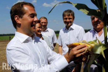 Медведев: Россия может сама себя прокормить
