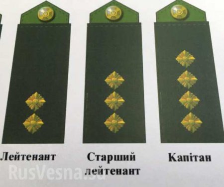 Офицеры ВСУ будут носить погоны третьего Рейха (ФОТО)