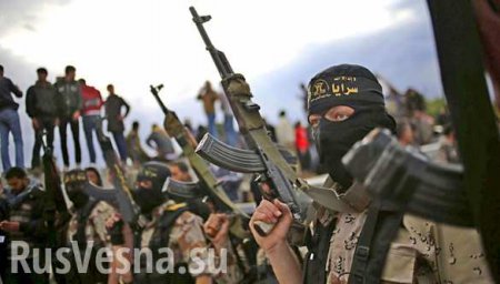 Наступление под Дамаском: боевики собрали 50 подписей, чтобы союзные банды помогли им выстоять, но это их не спасло (ФОТО, КАРТА)