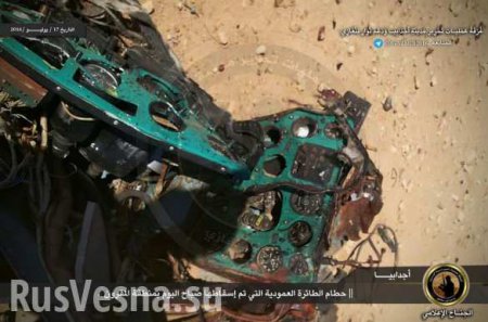 Жестокие кадры: боевики сбили Ми-24 со французским спецназом (ФОТО 18+)