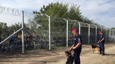 Bloomberg: В США, Европе и на Украине пограничные стены не решают проблем