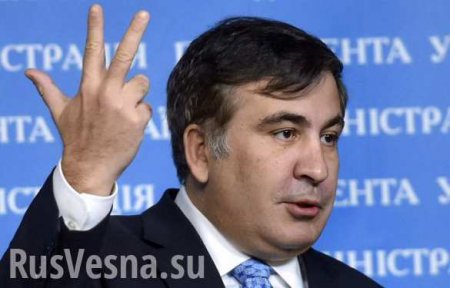 Украинские планы Саакашвили совпали с тем, что СБУ думает о «планах Москвы»
