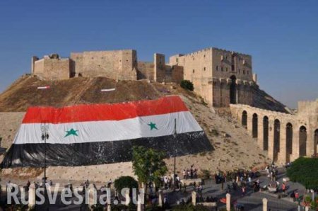 «Освобождение Алеппо важнее, чем деоккупация Пальмиры» — мнение (ВИДЕО)