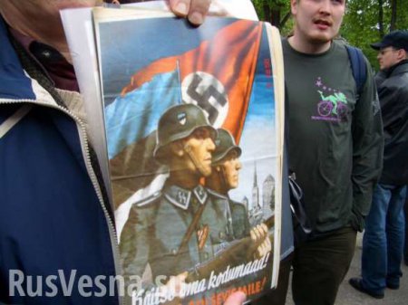 Эстонцы-эсэсовцы освобождали Эстонию? — мнение о русофобии и эстонском национализме