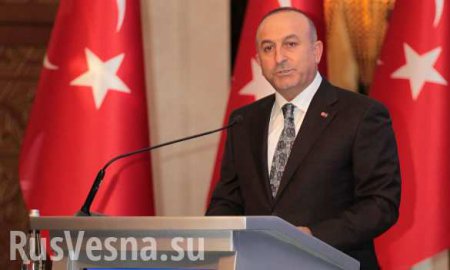 Глава МИД Турции отменил визит на Украину после убийства российского посла