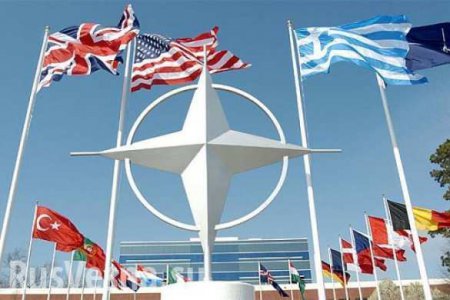 НАТО опровергает вылет своих самолетов в район Сахалина и Курил