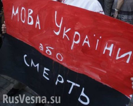 Парубий предложил запретить нардепам выступать на русском языке