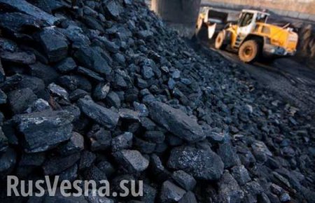 Киев роет себе угольную яму