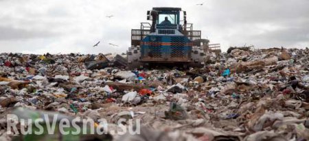 Львовский мусор как символ коммунального коллапса Украины (ФОТО, ВИДЕО)