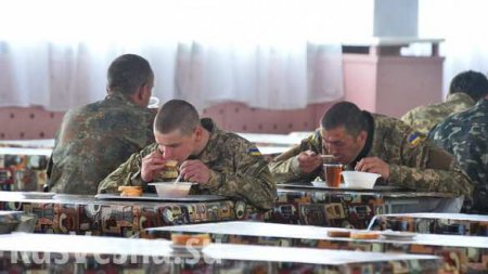 Оставшиеся без продовольствия военнослужащие ВСУ вынуждены питаться за свой счет