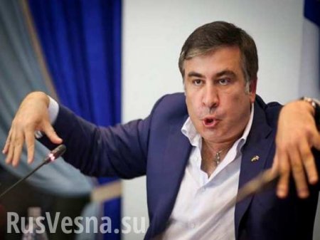 Саакашвили призывает отгородиться «настоящей» стеной от Донбасса (ВИДЕО)