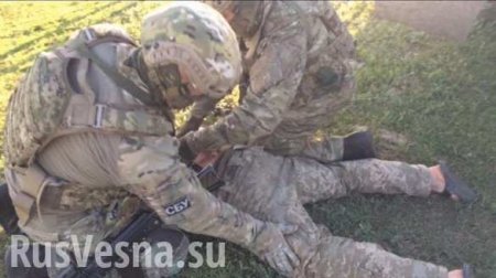 Контрактников ВСУ поймали на торговле оружием с Донбасса в Херсонской области (ФОТО)
