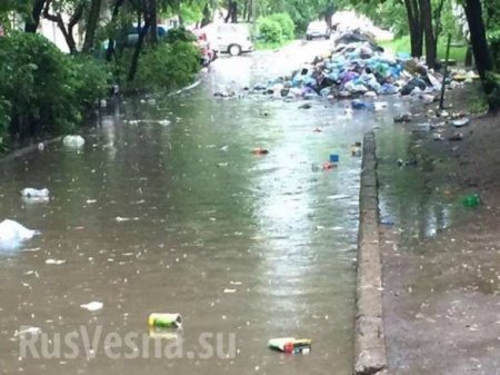 Львов затопило: мусор поплыл по улицам (+ВИДЕО, ФОТО)