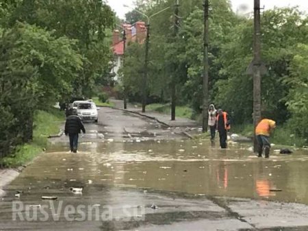 Львов затопило: мусор поплыл по улицам (+ВИДЕО, ФОТО)