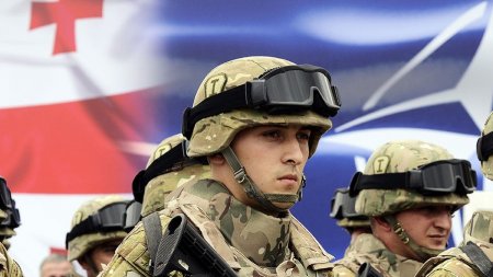 Грузинские радости: США и НАТО помогут против России?