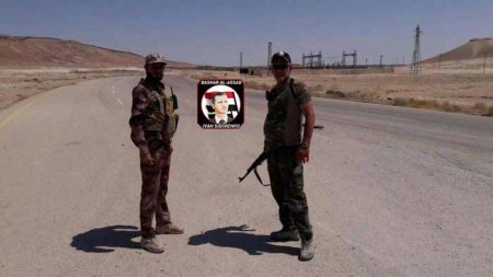 Сирийские правительственные войска взяли город Ас-Сухна в провинции Хомс - Военный Обозреватель