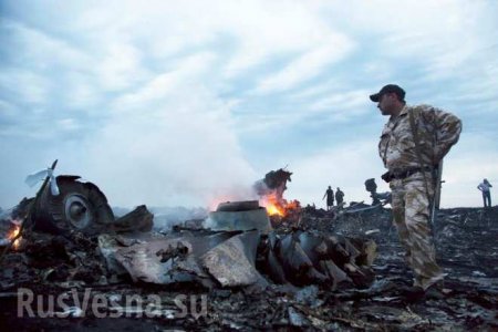 Скандал вокруг Boeing MH17: Нидерланды скрывают от мира соглашения о безопасности полётов с Украиной | Русская весна
