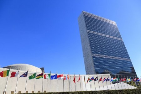 Закулисная дипломатия Женевы: Москва «сверяет часы» по Сирии в Сочи