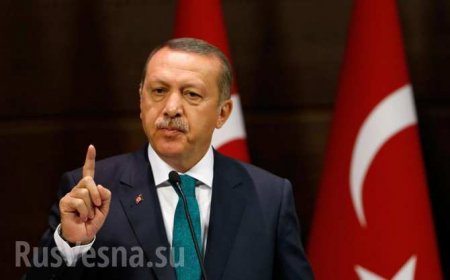 Раскол в НАТО: Турция грозится покинуть альянс и усиленно сближается с Москвой