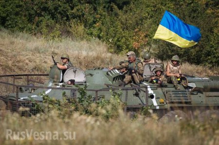 Почему ВСУ не идут в наступление на Донбассе: в правительстве Украины открыли «секрет» (ВИДЕО)