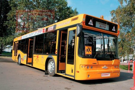 В России автобусы, перевозящие детей, обязательно будут оснащены мигалками