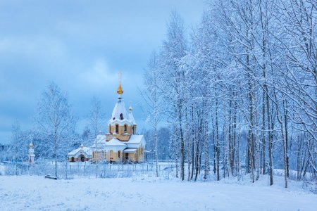 Сардэчна запрашаем! Что посмотреть белорусам на Новый год в России