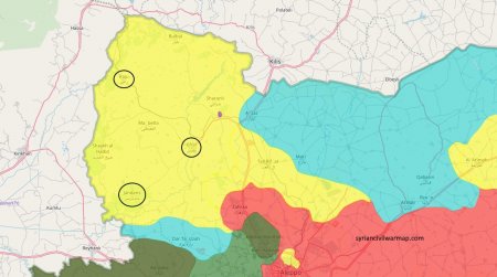Турецкая «Оливковая ветвь» – шаг к разделу Сирии?
