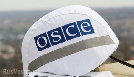 МИД Венгрии назвало «свершившимся фактом» отправку миссии ОБСЕ на Закарпатье