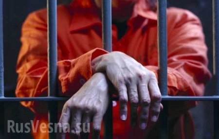 Российского студента приговорили к четырем годам тюрьмы в Эстонии