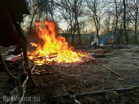 Неонацисты против цыган: В Киеве сожгли табор (ФОТО)