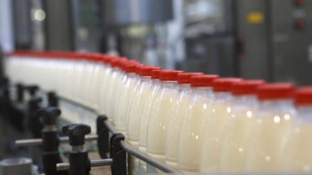 Молоко и пот: трудный путь продуктового экспорта
