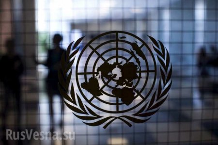 Мы же платим! — США составили список несогласных в ООН