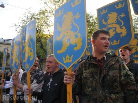 Неожиданно: Глава Института нацпамяти Украины возмутился маршем в честь дивизии СС «Галичина»