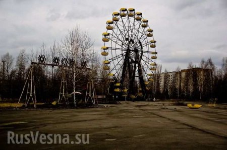 «Там же рай на земле» — эксперт о Чернобыльской зоне