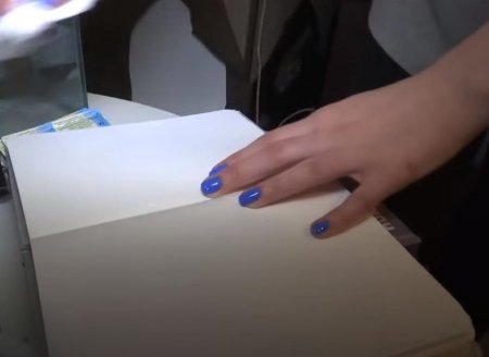 Киевские школьники изобрели «вечные» карандаш и блокнот