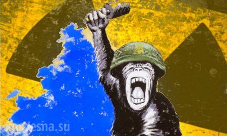 Украина всадила нож в спину Западу в борьбе с Россией (ФОТО, ВИДЕО)